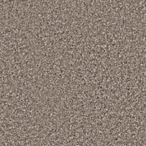 Newberry greige 0195
